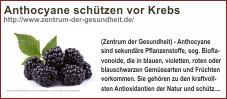 aktiv_gesund_bln0040194.jpg