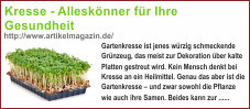 aktiv_gesund_bln004050.jpg